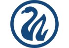 Swan Energy Limited reports record-breaking income and profitability for FY25