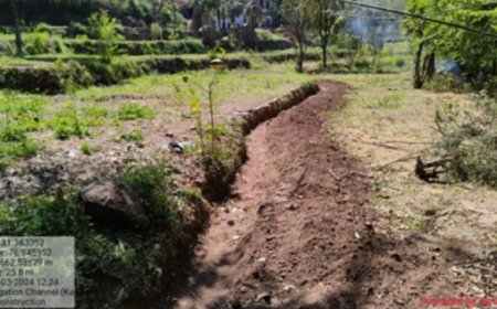 Adani Foundation at ACC Gagal boosts agricultural produce for rural farmers in Himachal Pradesh