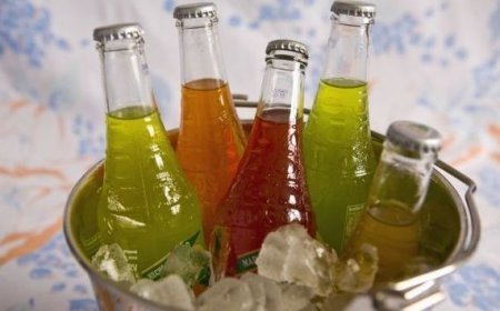 Craft Soda Market: Global Segments, Top Key Players, Size And Recent Trends By Forecast To 2035