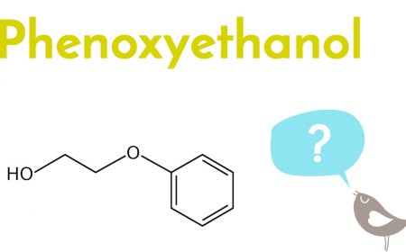 Phenoxyethanol Market Size 2025 Global Industry Share, Top Players, Opportunities And Forecast To 2035