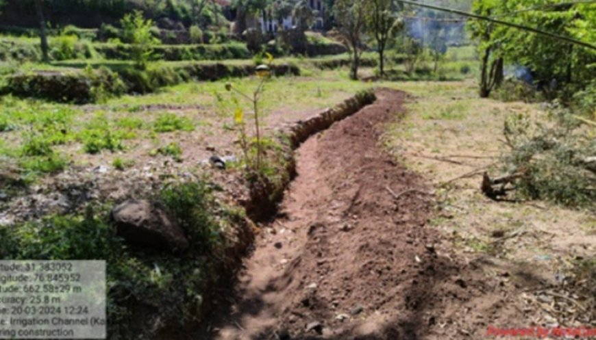Adani Foundation at ACC Gagal boosts agricultural produce for rural farmers in Himachal Pradesh