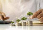 The Wealth Company Mutual Fund Launches Mid Cap Fund to Capitalize on India's Next Generation of potential Market Leaders