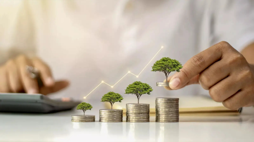 The Wealth Company Mutual Fund Launches Mid Cap Fund to Capitalize on India's Next Generation of potential Market Leaders