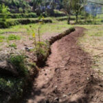 DCB Bank’s Tailored Solutions for Senior Citizens